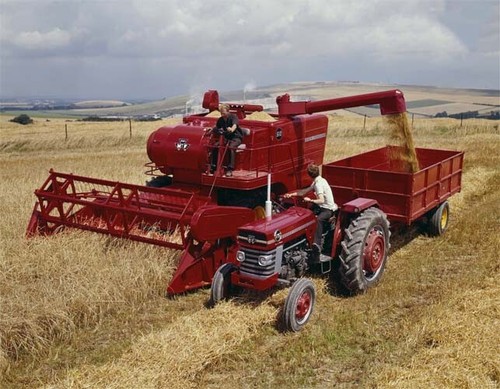 Vintage massey ferguson 510 - vintage,