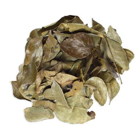 240 spices for 99p - for, +