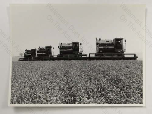 Massey ferguson combine - massey,