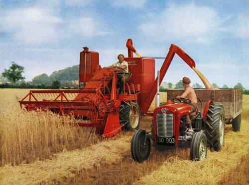 Vintage massey ferguson - massey,